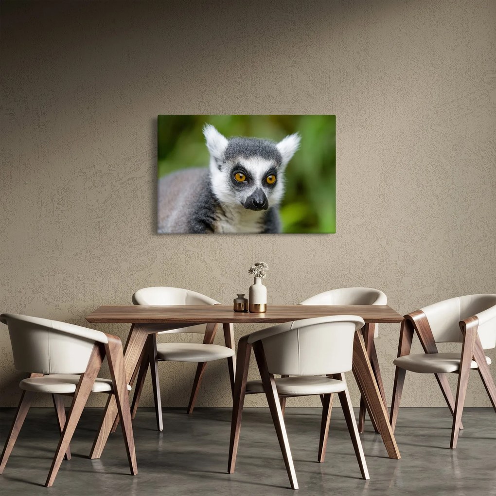 Tablou cu lemur (90x60 cm)