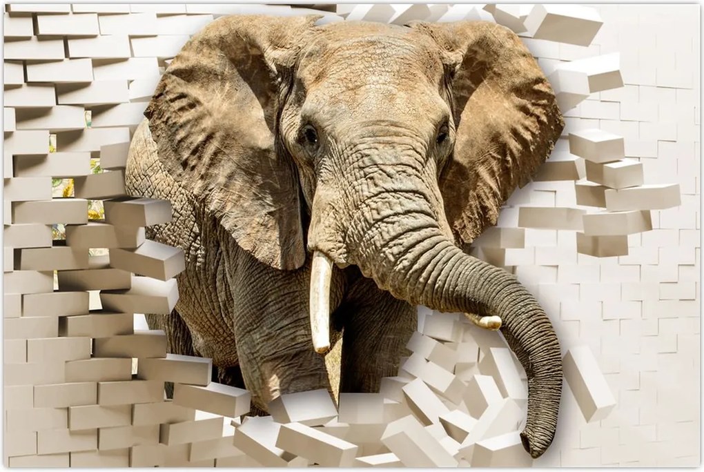 Tablou - Elefant spârgând peretele (90x60 cm)