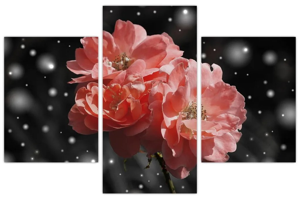 Tabloucu floare roz (90x60 cm)