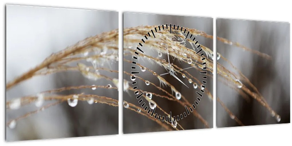Tablou - Picături pe plantă (cu ceas) (90x30 cm)