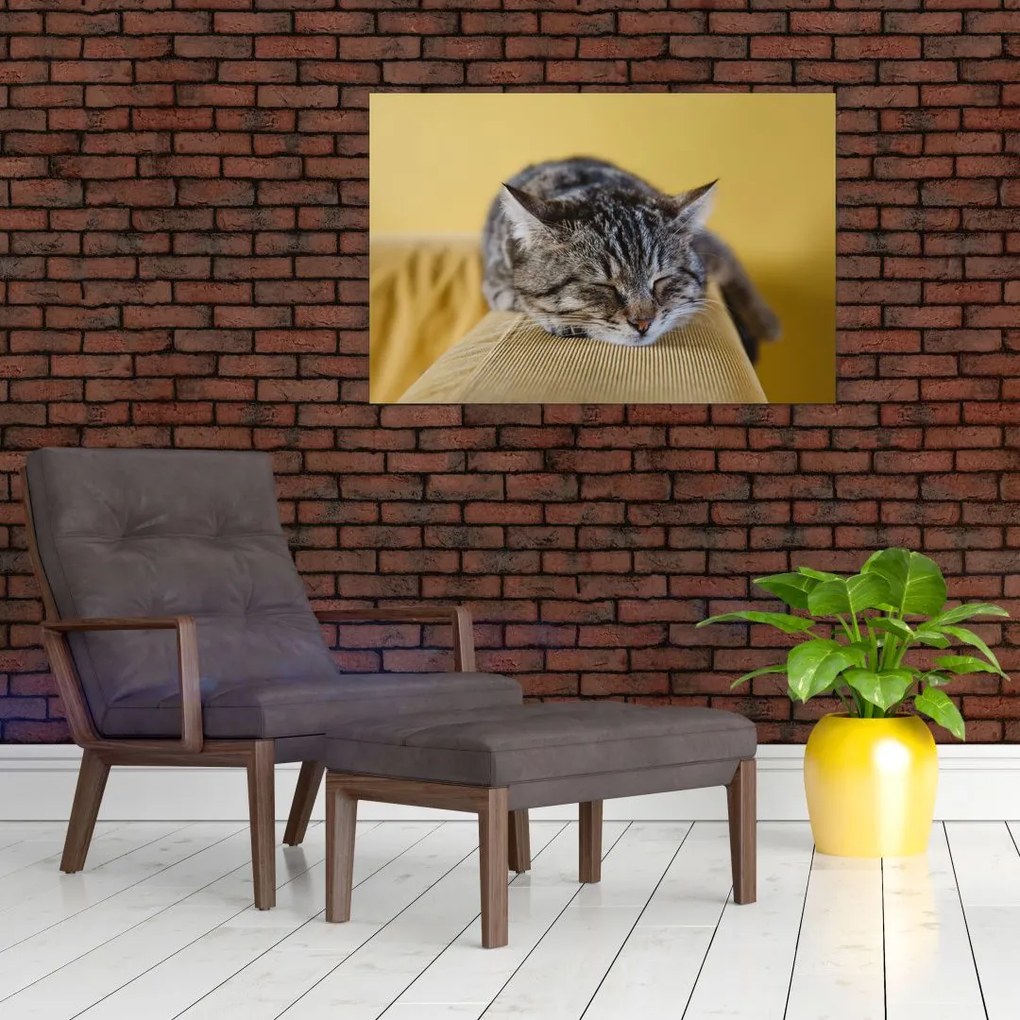 Tablou cu pisica pe fotoliu (90x60 cm)