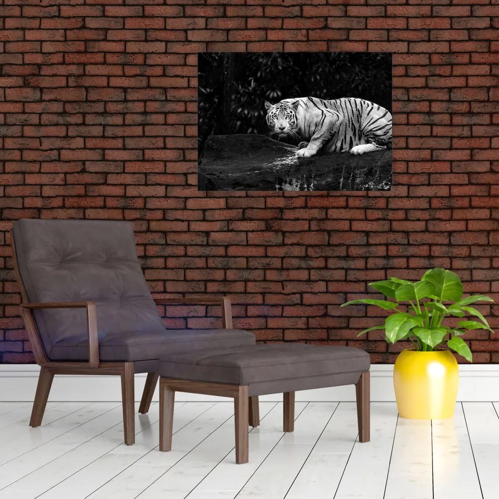 Tablou pe sticlă - Tigru alb, alb-negru (70x50 cm)