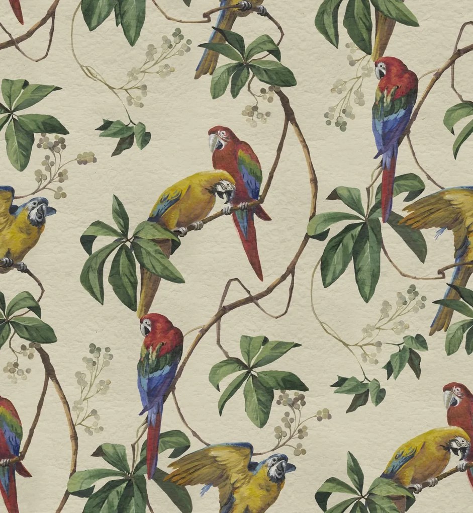 Fototapet, Parrots, Sand, Rebel Walls