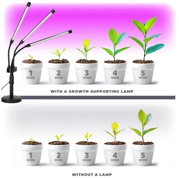 Lampă LED dimabilă pentru creșterea plantelor Brilagi VITABLOOM 3xLED/10W/230V