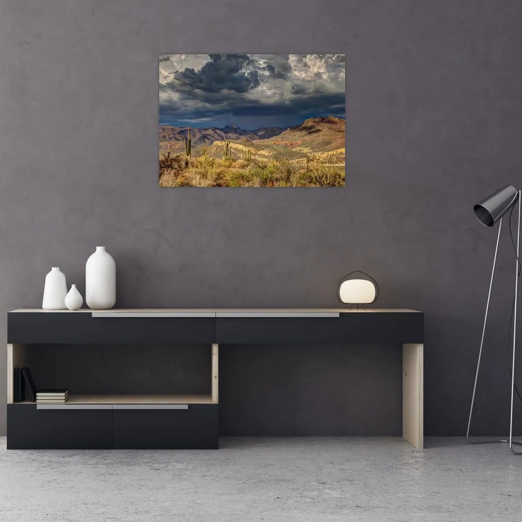 Tablou pe sticlă - cactușii în natură (70x50 cm)