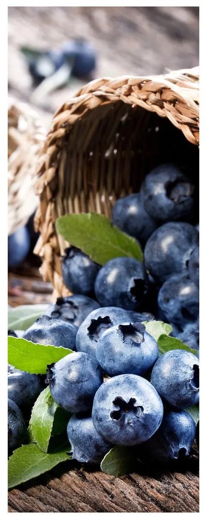 Fotojaluzele R014805R57150 (57x150 cm)