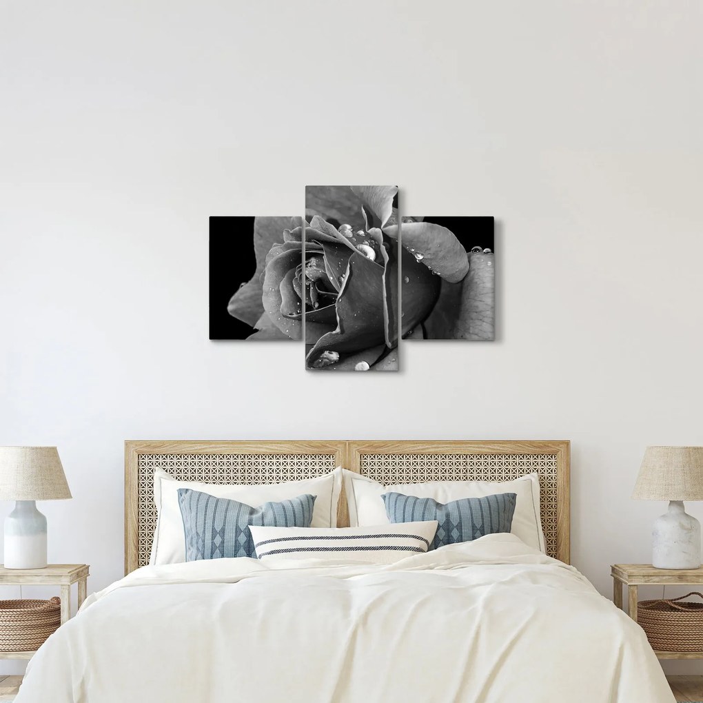 Tablou cu trandafir - albneagră (90x60 cm)