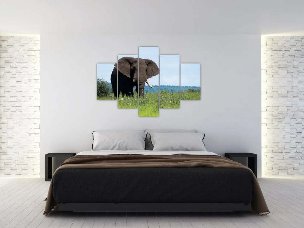 Tablou cu elefant (150x105 cm)