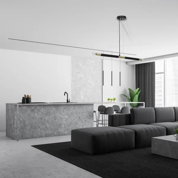 lustră pe cablu BASTONE 2xE14/40W/230V neagră/aurie