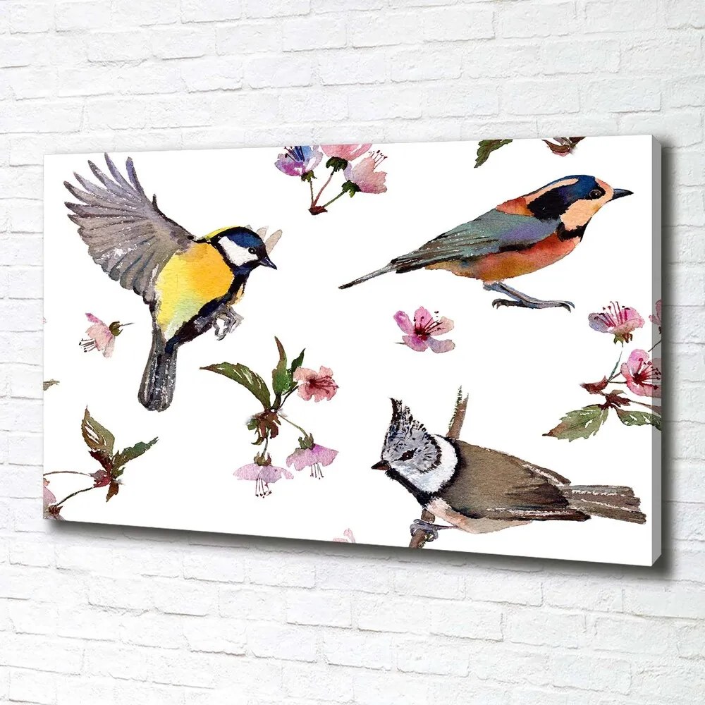 Tablou pe pânză canvas Bird flori de cires