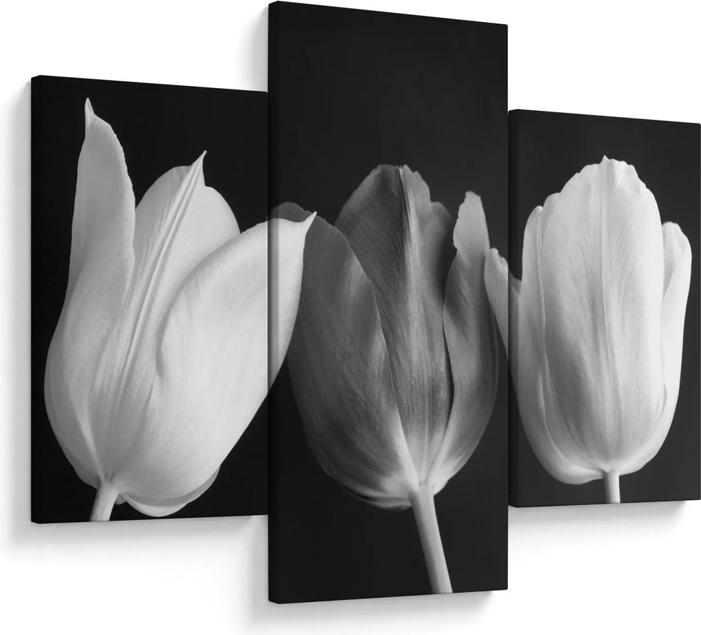 Tablou - Lalele alb negre (90x60 cm)