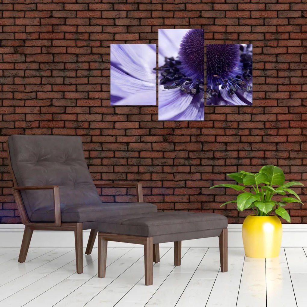 Tablou - Floare mov (90x60 cm)