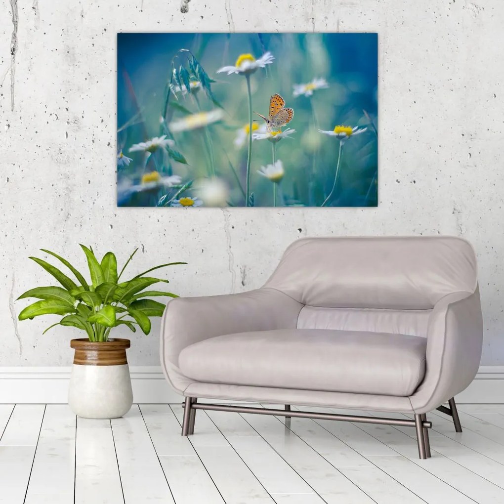 Tablou - Fluture pe margaretă (90x60 cm)