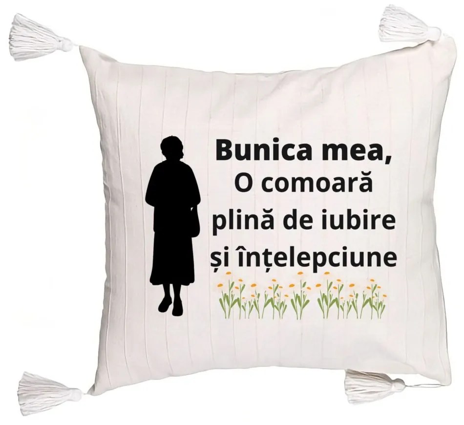 Perna Decorativa cu Franjuri pentru Bunica 17, 45x45 cm, Cu fermoar