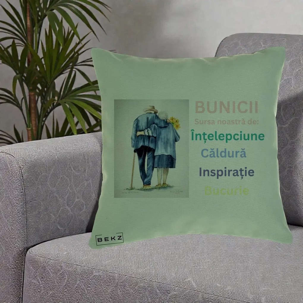 Cadou pentru Bunici - Perna Personalizata Bunicii Sursa Intelepciune Caldura Acuarela, 40x40 cm, Verde, Husa Detasabila, Perna Inclusa, BEKZ®