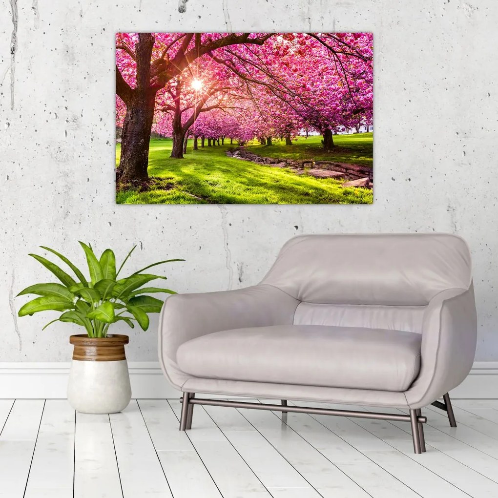 Tablou - Cireși înfloriți, Hurd Park, Dover, New Jersey (90x60 cm)