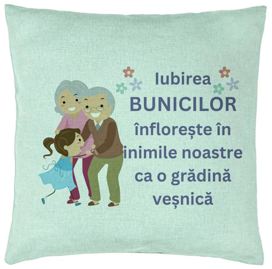 Perna Decorativa pentru Bunici 2, 40x40 cm, Verde Menta, Husa Detasabila, Burduf