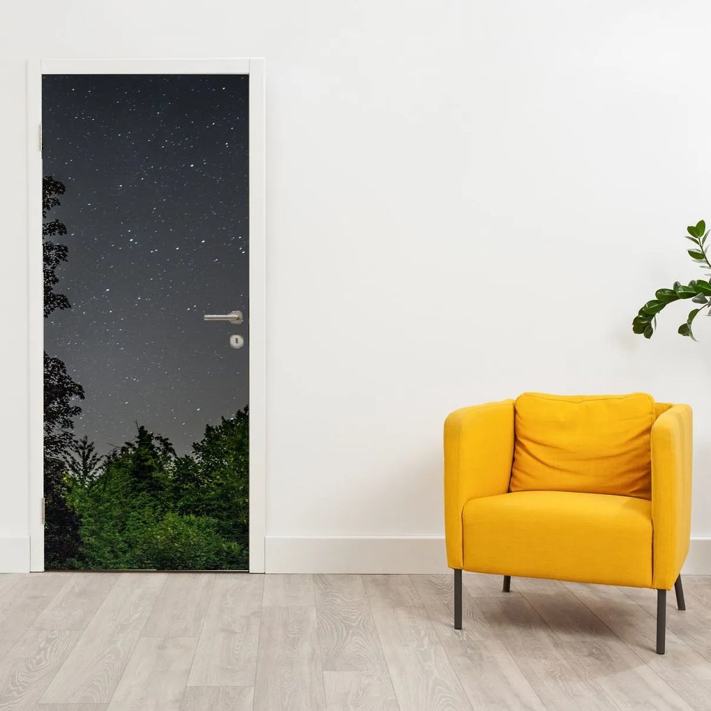 Fototapet pentru ușă - Cerul noaptea (95x205cm)