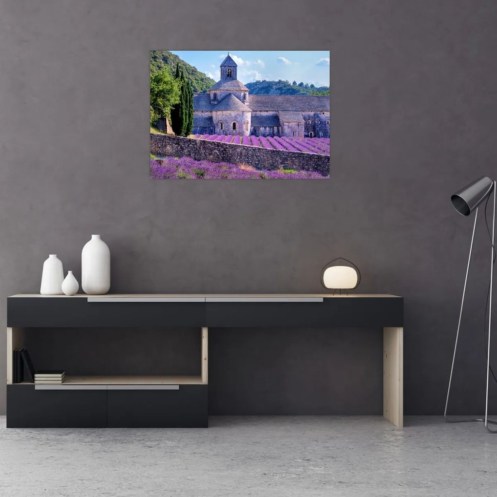 Tablou - Câmp de lavandă (70x50 cm)