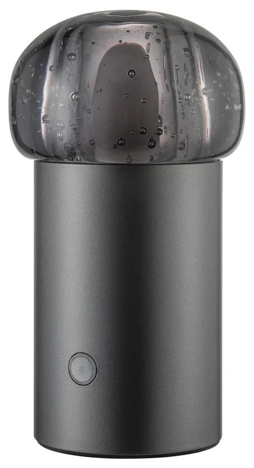 Corp de iluminat pentru exterior LED portabil cu intensitate reglabilă cu USB ø 10 cm Iris – Blomus