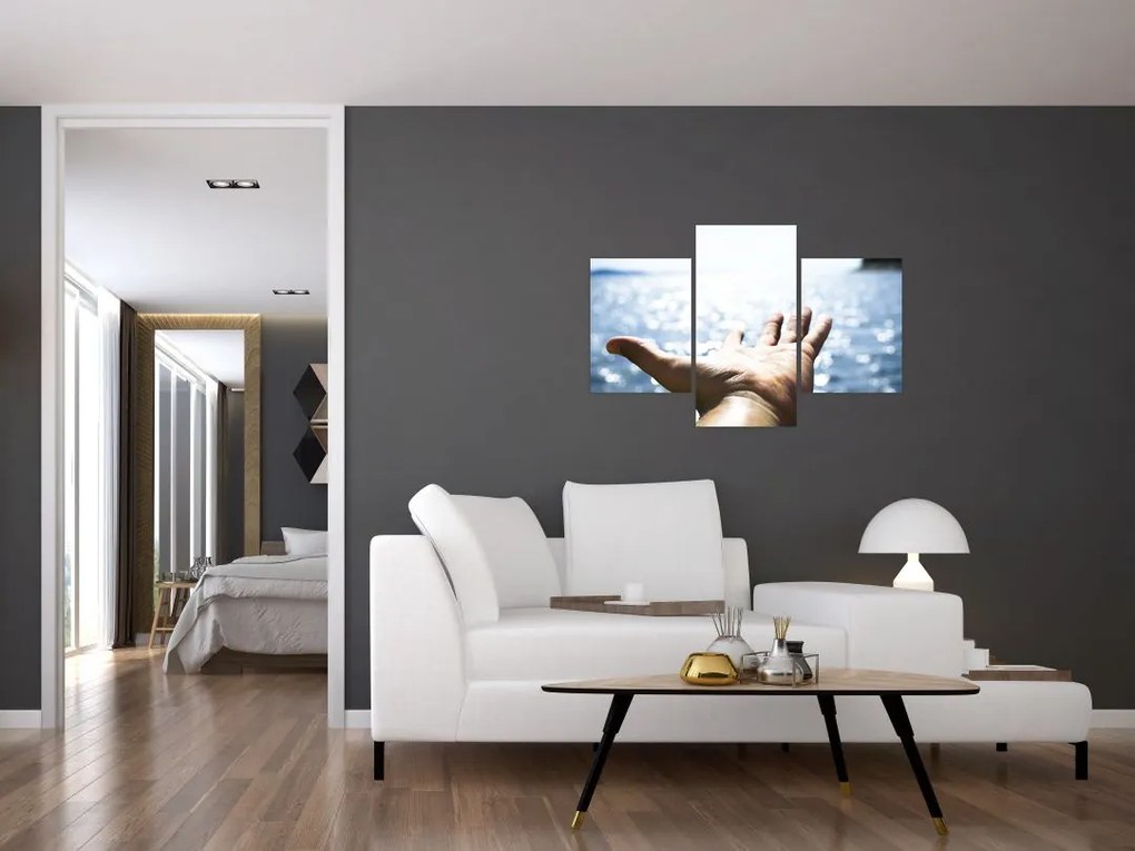 Tabloul cu palma deschisă (90x60 cm)