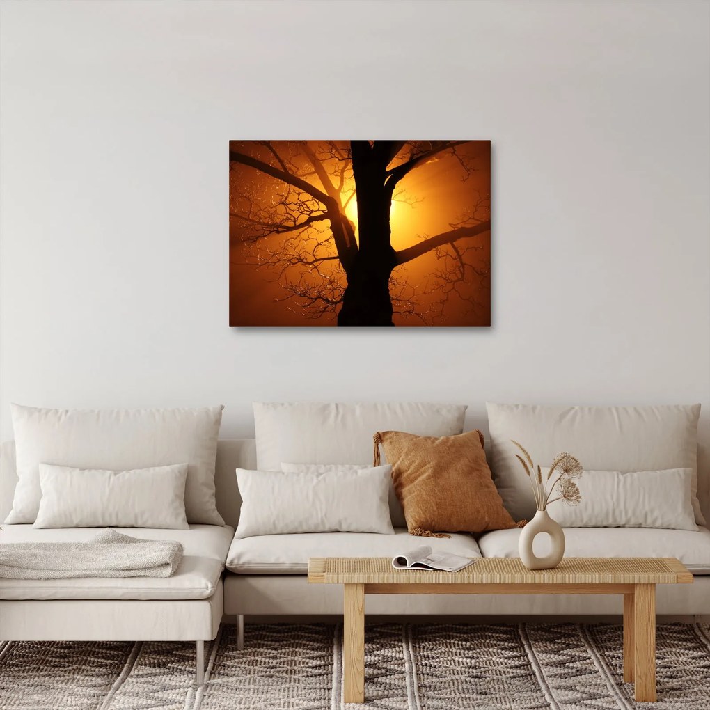 Tablou cu copac în apus de soare (70x50 cm)