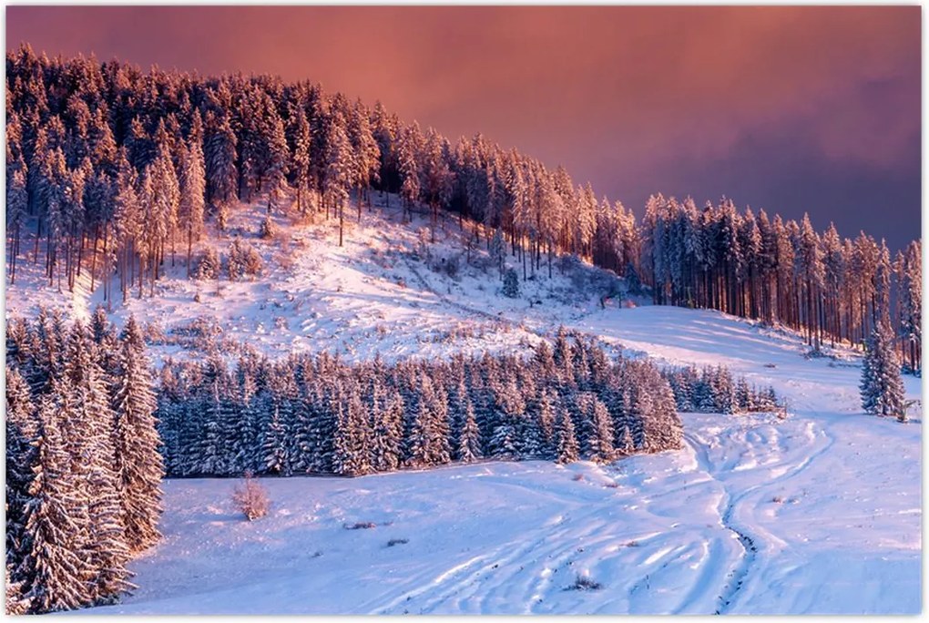 Tablou - Peisaj de iarnă (90x60 cm)