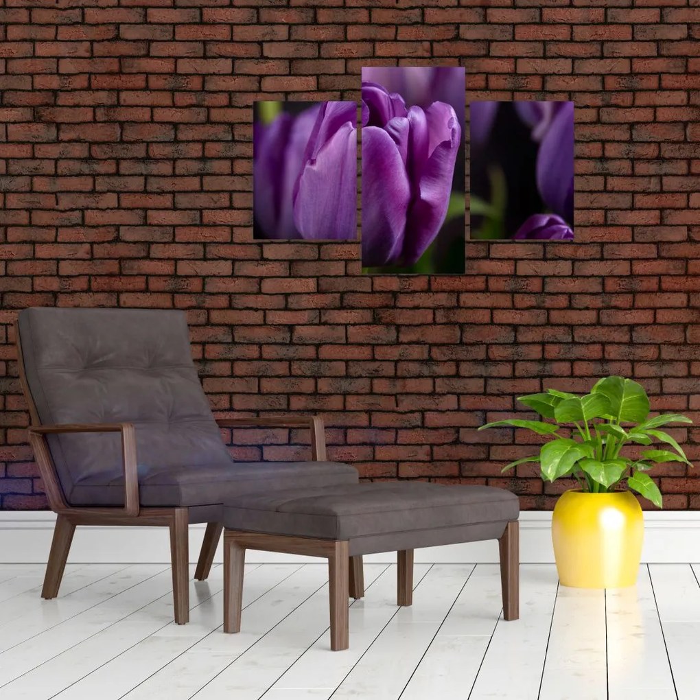 Tablou cu flori de lalele (90x60 cm)