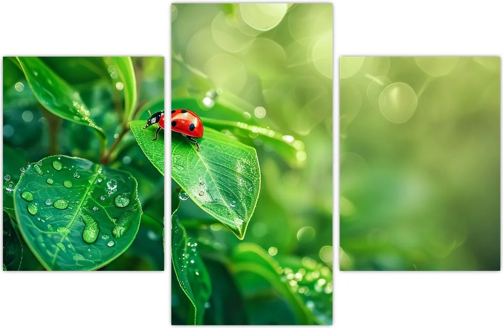 Tablou - Buburuza (90x60 cm)