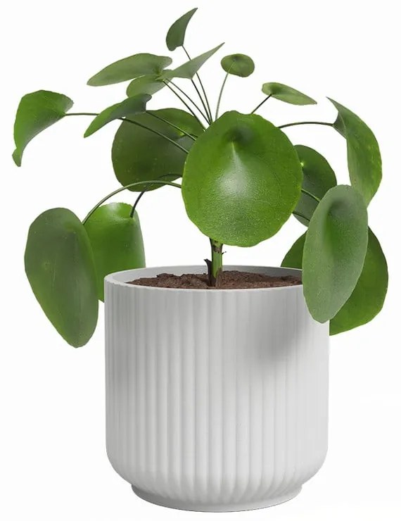 Ghiveci din ceramică ø 19 cm Luna – Artevasi