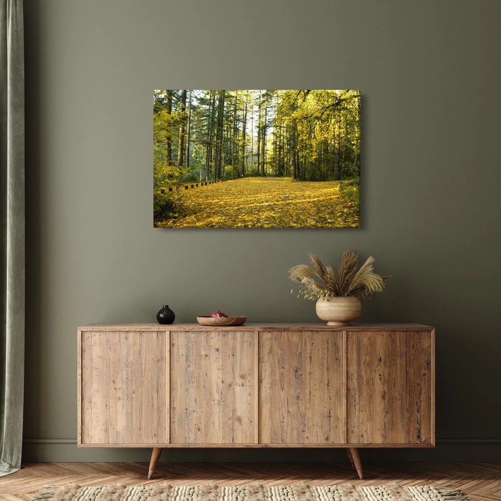 Tablou - pădurea toamna (90x60 cm)