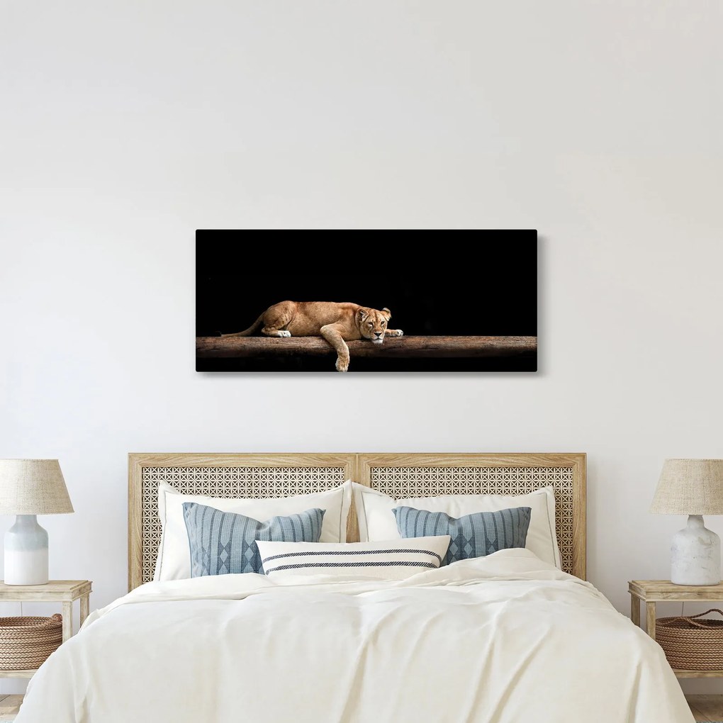 Tablou - Lioness (120x50 cm)
