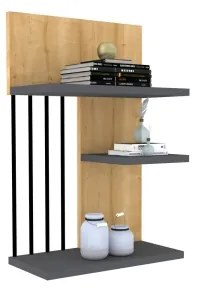 Etajeră de perete NEZMA 60x40 cm bej/antracit