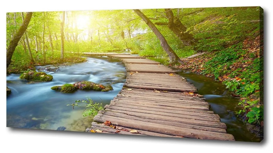 Tablou canvas Calea în pădure