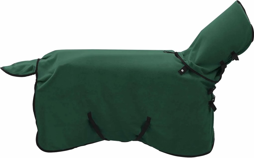 vidaXL Pătură pentru cai Verde închis complet Poliester