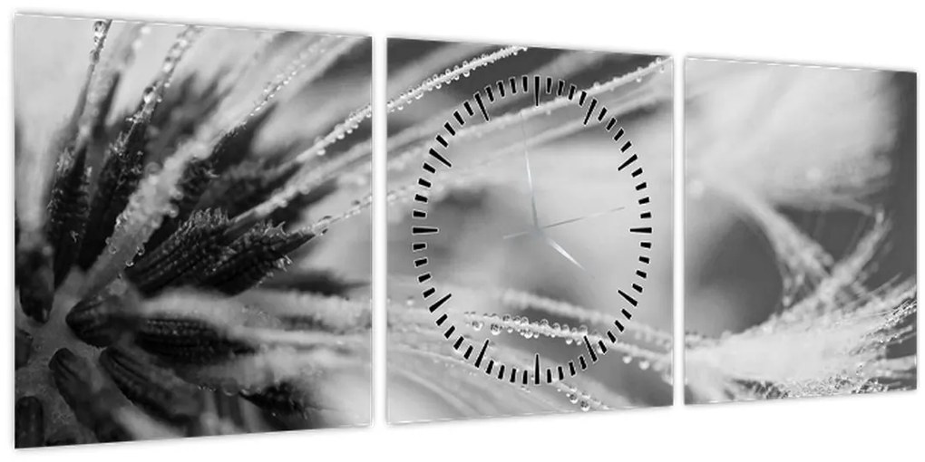 Tablou - Macro,alb-negru (cu ceas) (90x30 cm)