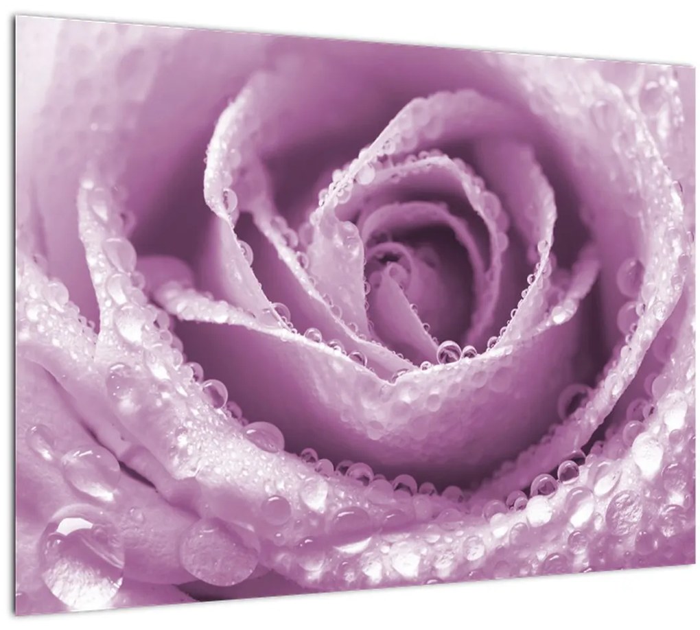 Tablou pe sticlă detaliu de floare de trandafir (70x50 cm)
