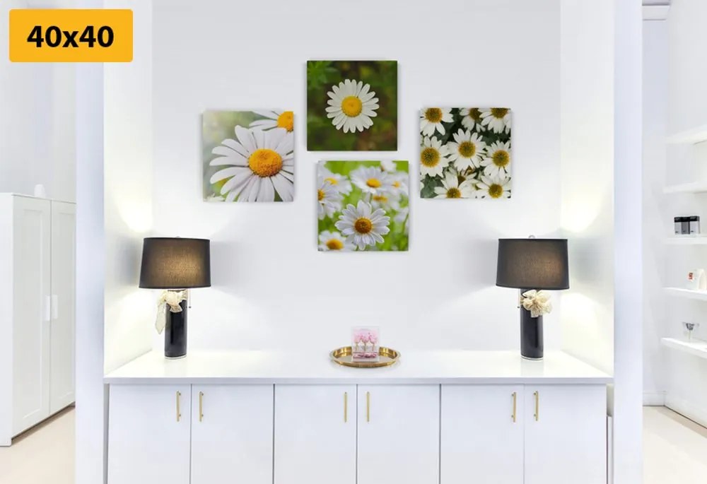 Set tablouri flori magice