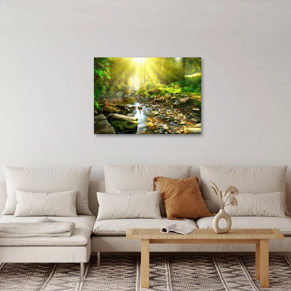Tablou cu râul în pădurea verde (70x50 cm)
