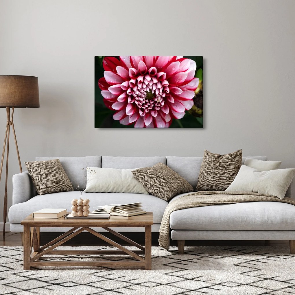 Tablou cu dalie roz (90x60 cm)