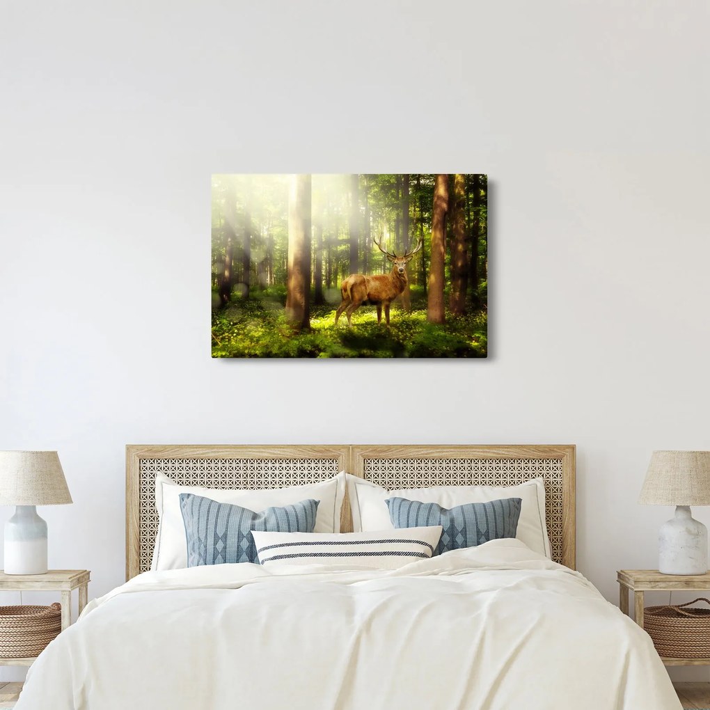 Tablou cu cerbul în pădure (90x60 cm)