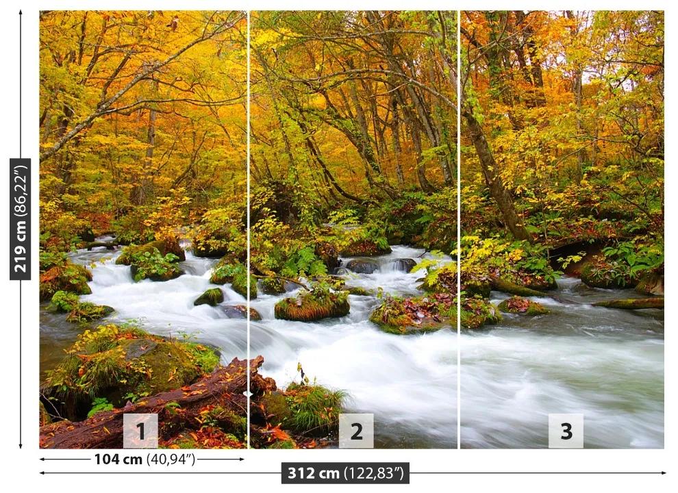 Fototapet River în Japonia