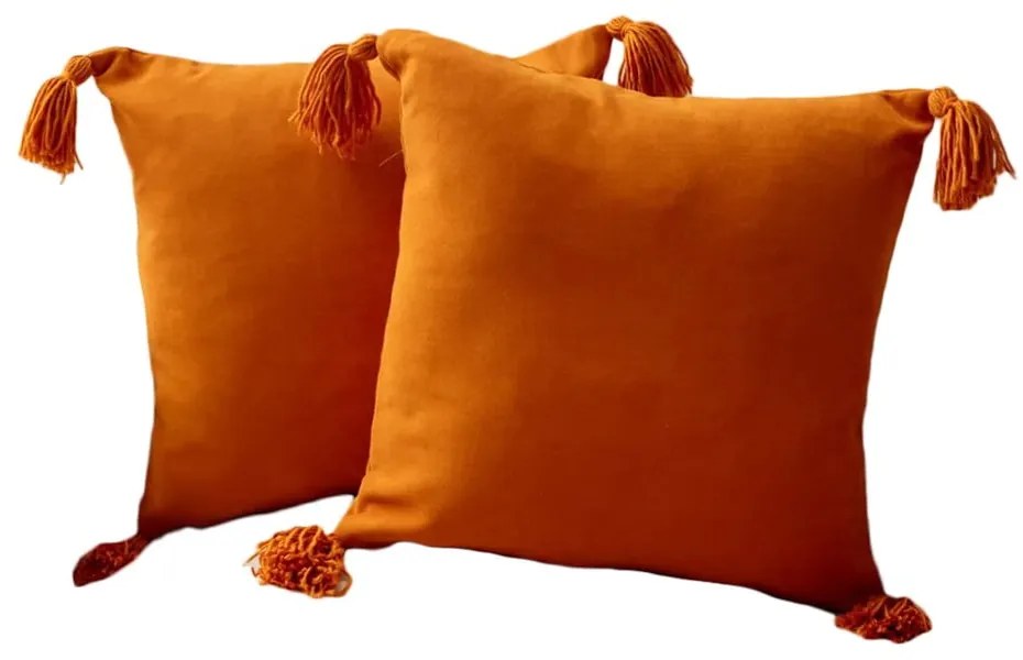 Fețe de pernă 2 buc. 43x43 cm Puskul – Mioli Decor