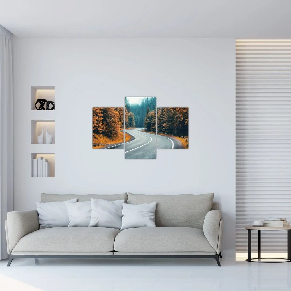 Tablou - Drumul cu serpentine (90x60 cm)