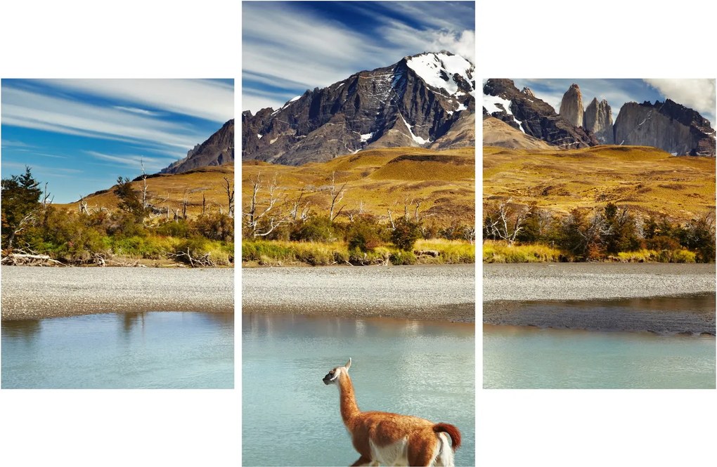 Tablou - Parcul Național Torres del Paine (90x60 cm)