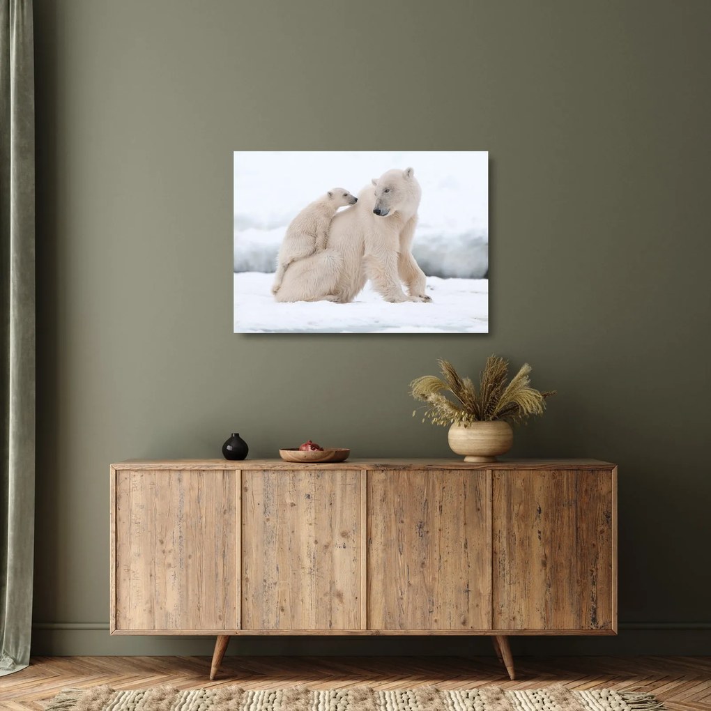 Tablou pe sticlă - Urs polar (70x50 cm)
