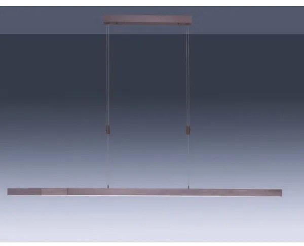 Lustră LED dimabilă pe cablu Paul Neuhaus 2568-24 ADRIANA LED/14W/230V