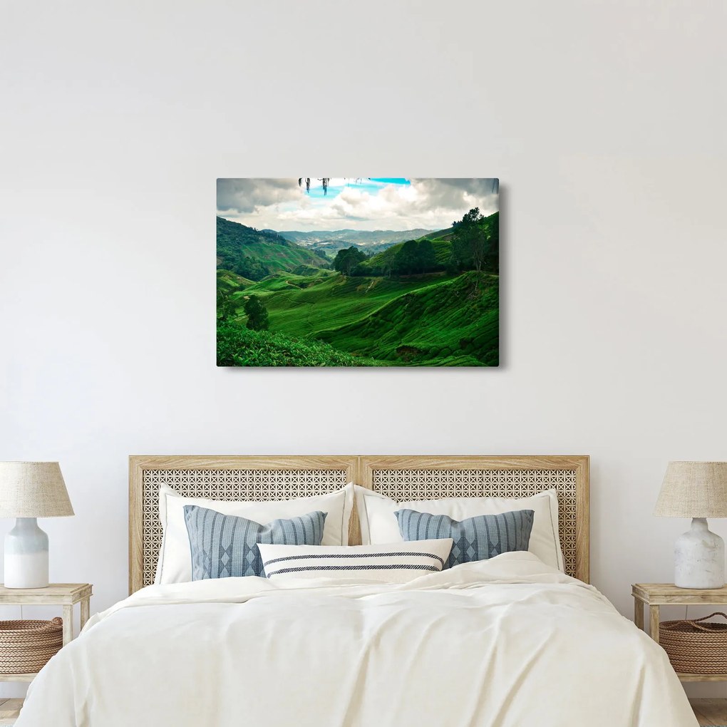 Tablou Plantații de ceai - Malaezia (90x60 cm)