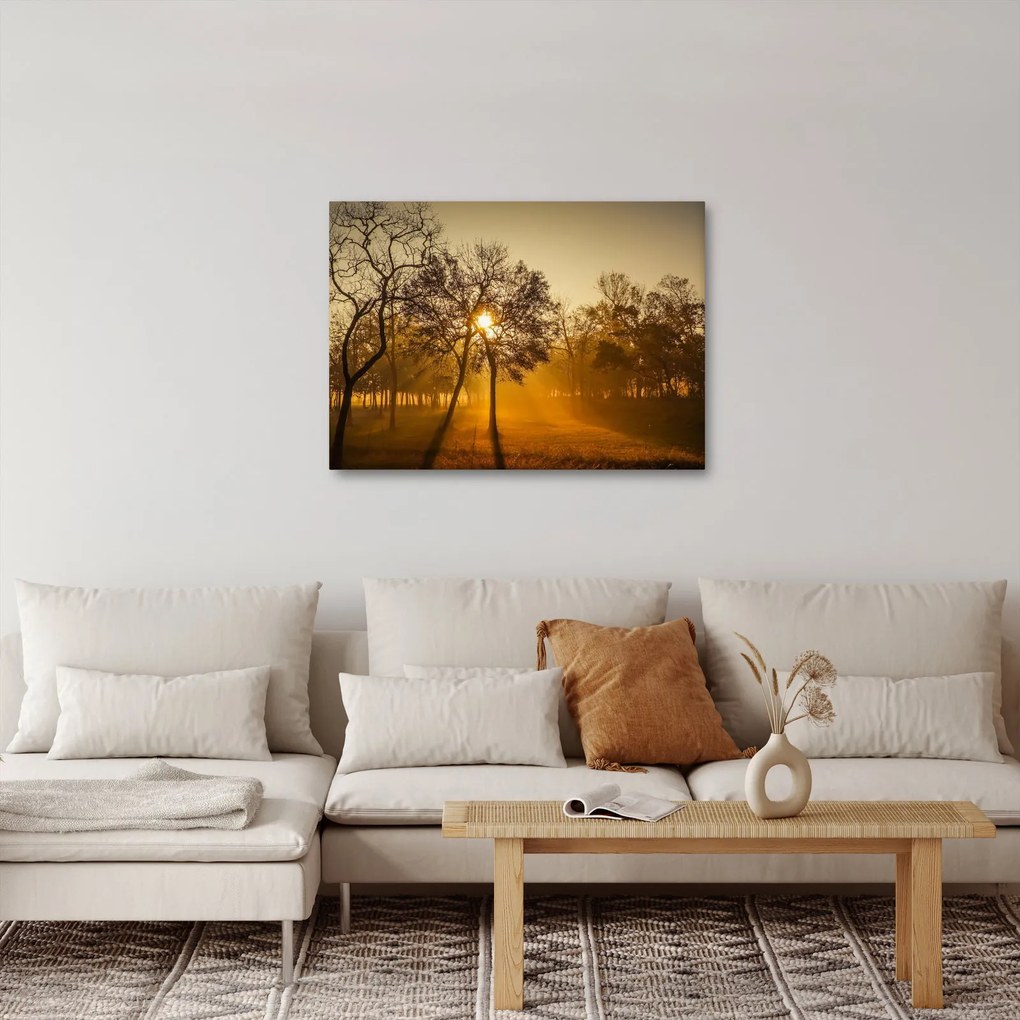 Tablou cu răsăsrit de soare (70x50 cm)
