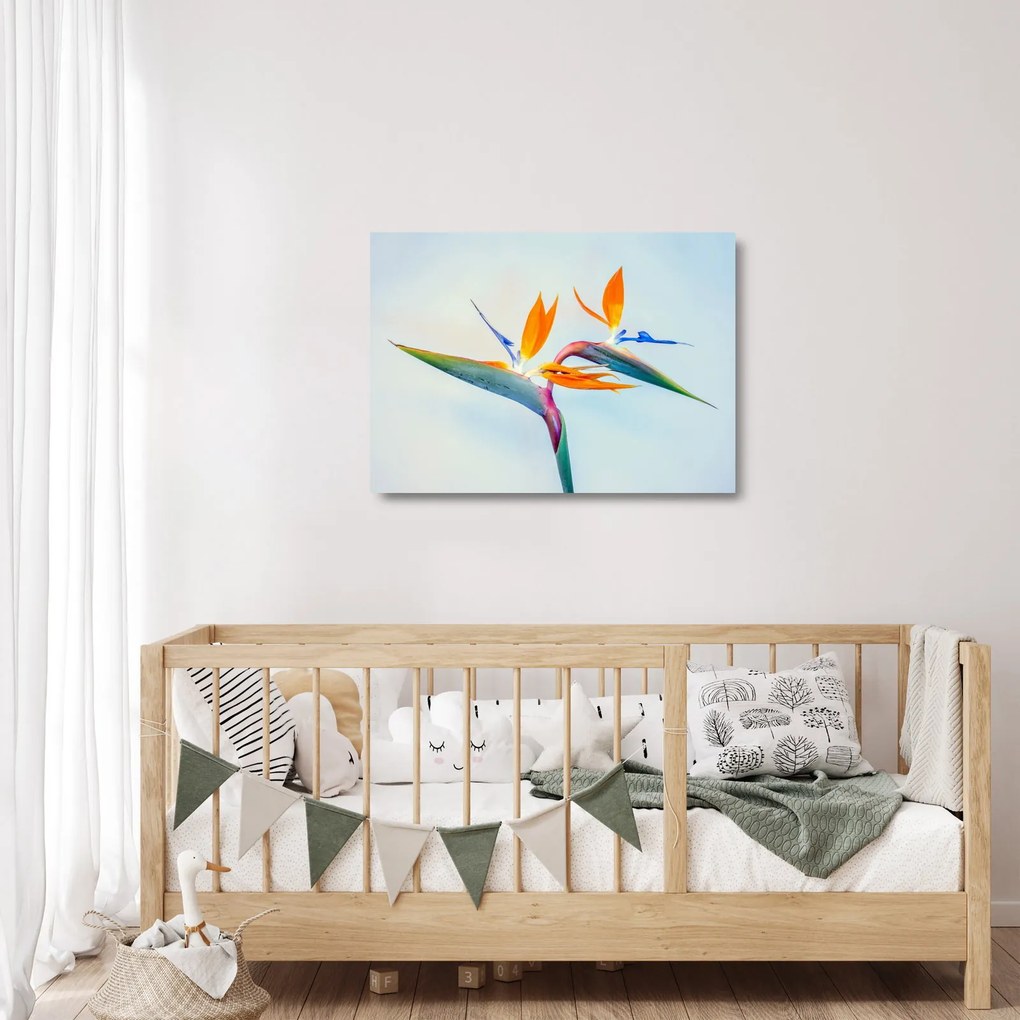 Tablou pe sticlă cu floarea Strelicie (70x50 cm)